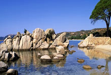 今日女单决赛直播看点在哪里？